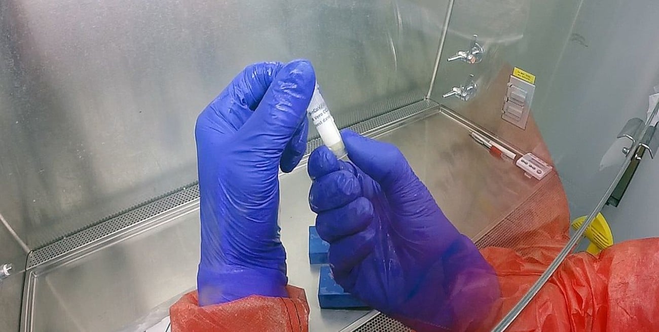 Confirman 19 nuevos casos de coronavirus en el país: ya son 97 los contagiados