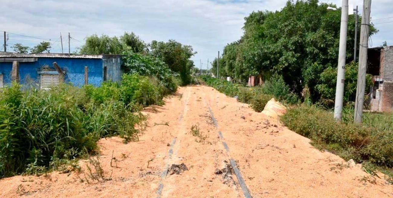 Golpe "pirata" a un tren del Belgrano Cargas