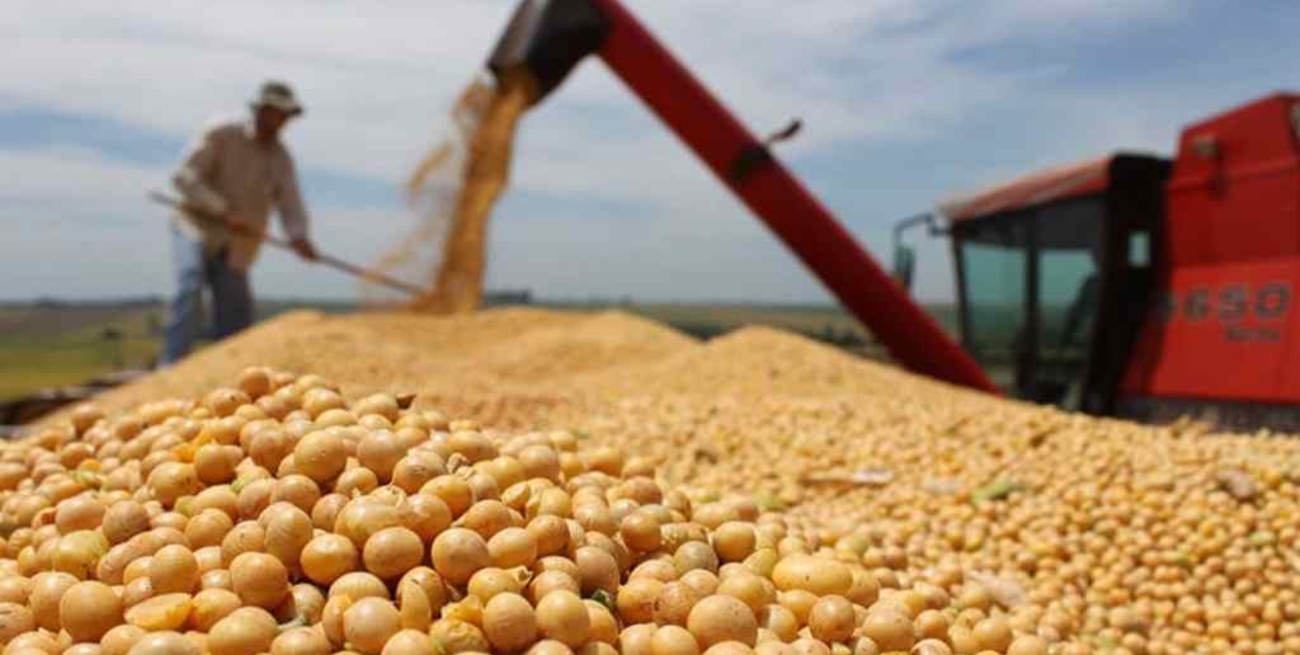 Oficial: Desde este martes rigen las rebajas temporarias de retenciones