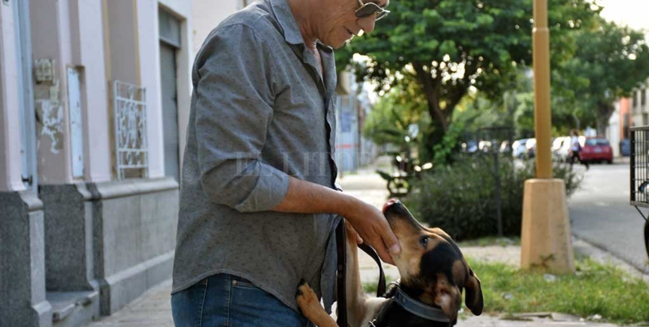 La historia del adiestrador y "Jim", el perro  que se crió atado a un árbol con alambres 