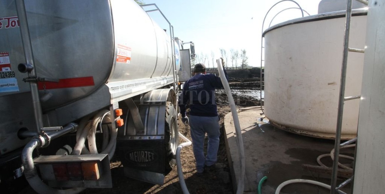 Leche en tranquera: esperan precios firmes hasta junio