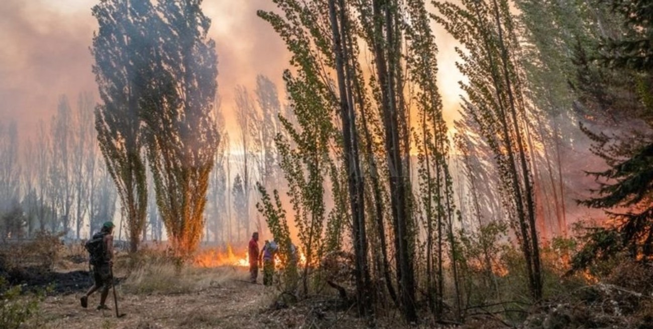 Incendios en Chubut: hay al menos 15 personas desaparecidas 
