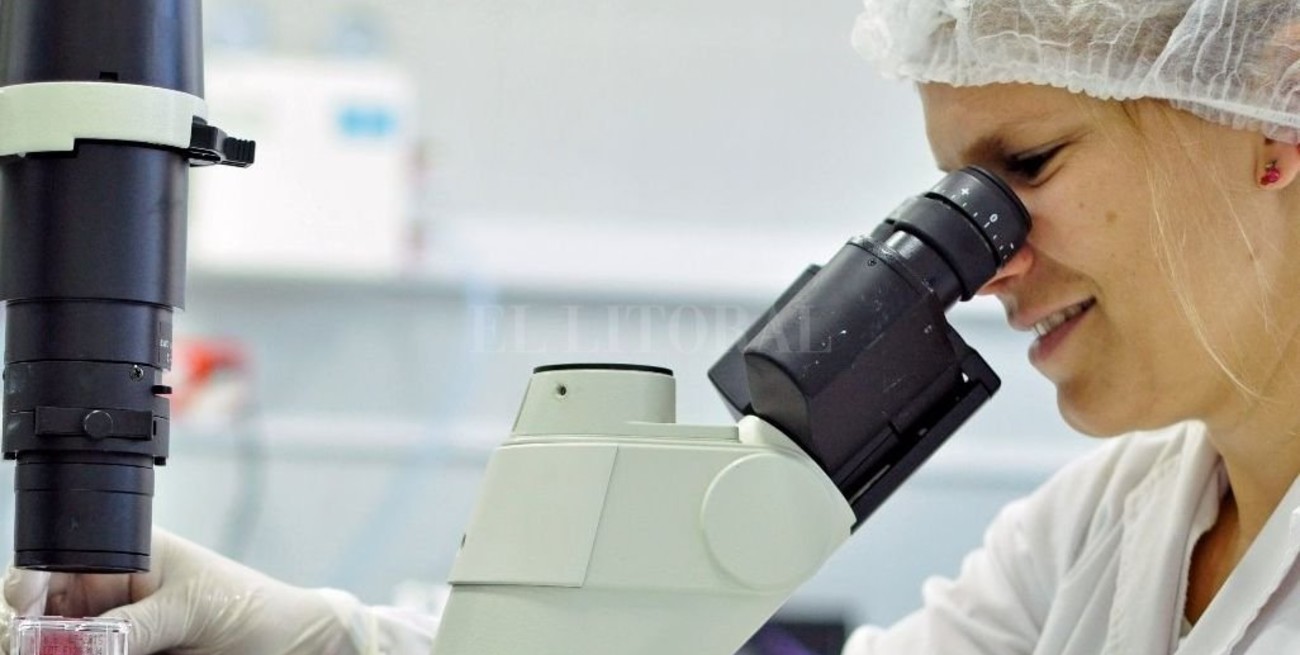 Científicos del Conicet contra la infodemia y las fake news