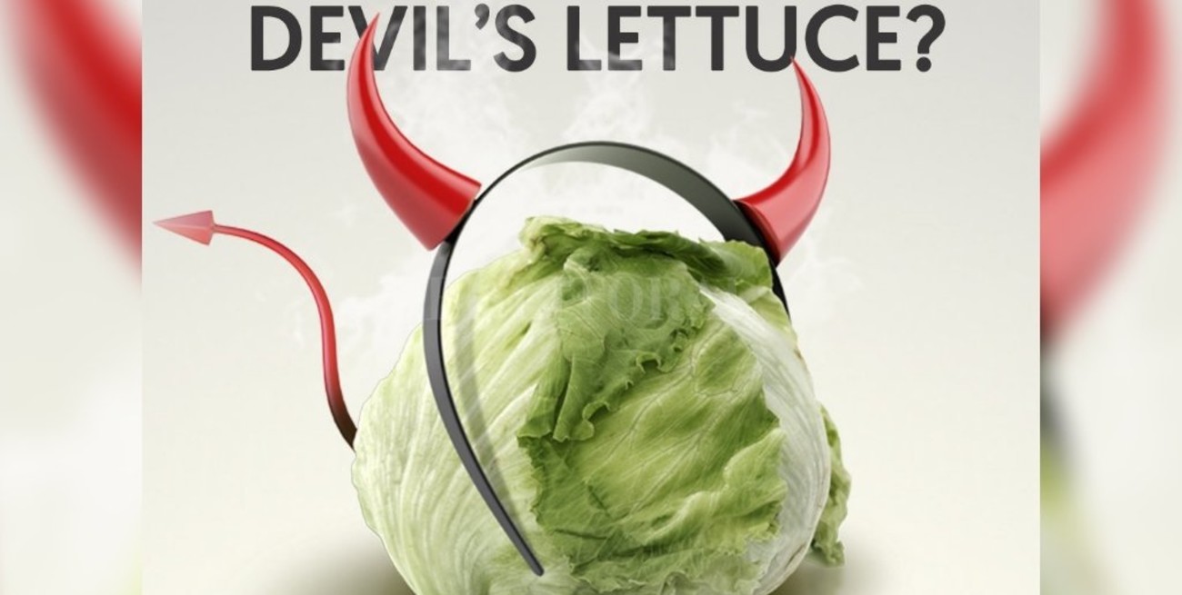 Canadá busca catadores de marihuana