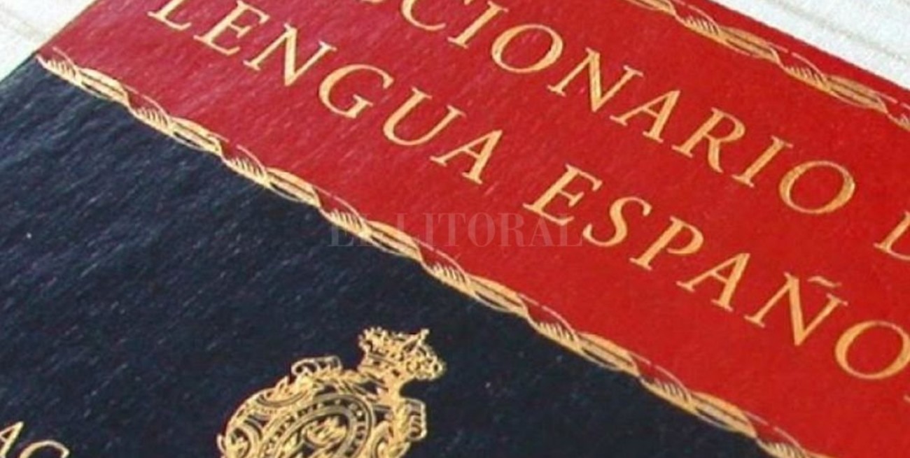 Arboricidio, brunch, penthouse, router o rúter, entre las 284 nuevas acepciones de la RAE