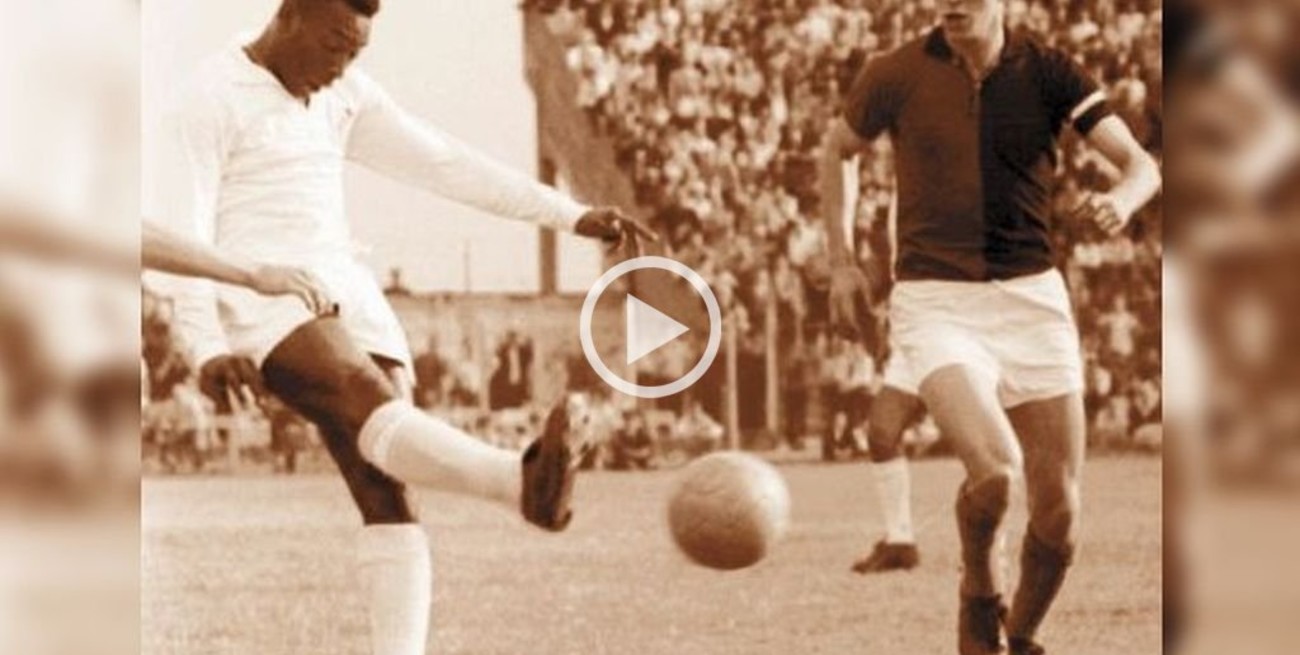 Hace 55 años "nacía" el Cementerio de Elefantes