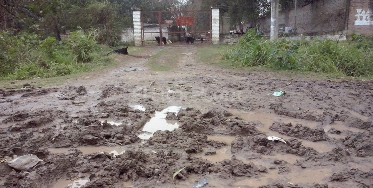 Imposible entrar al Refugio de la Protectora