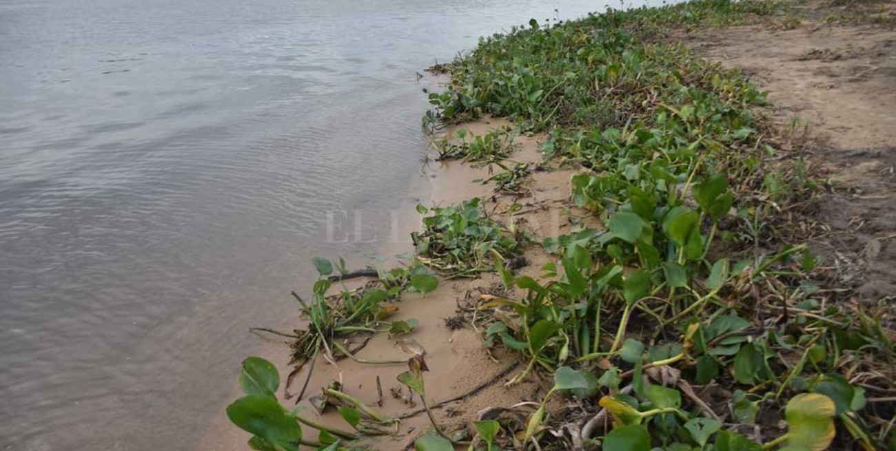 El Río Paraná sigue a la baja: quedó cerca del metro en Santa Fe