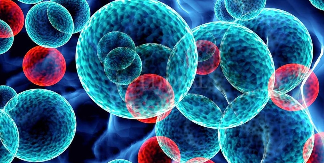 Fertilizante en nanopartículas, entre las novedades de Expoagro 2020