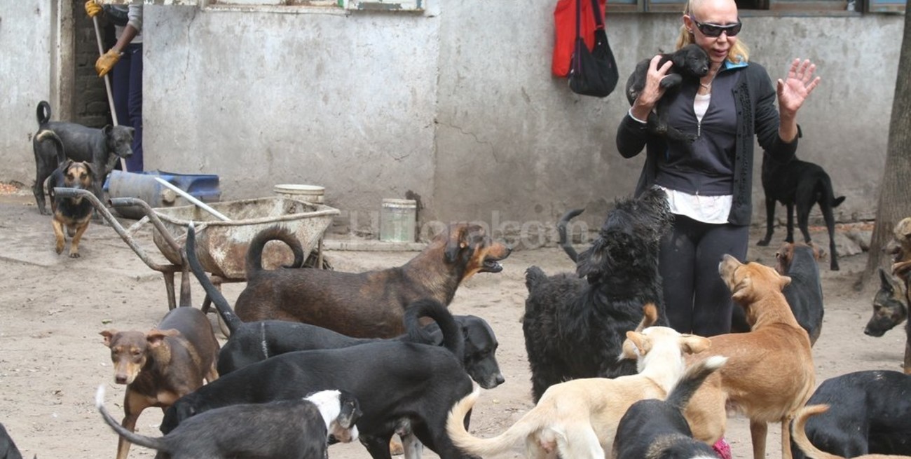 A un año de la muerte de Gladis, el refugio de perros se sostiene a pulmón