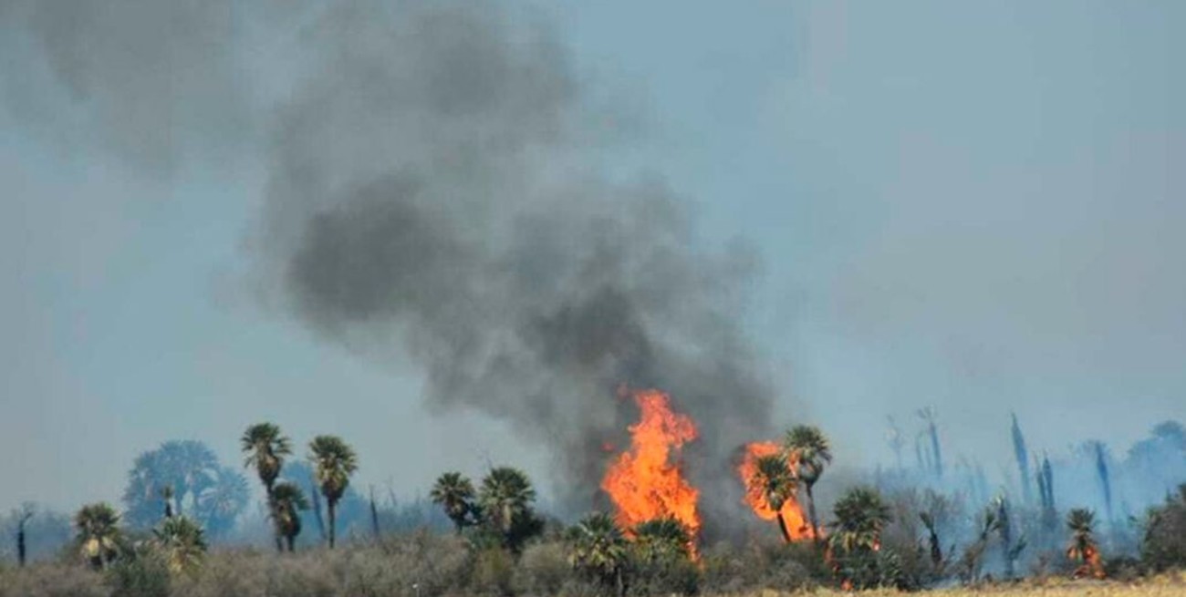 Controlaron tres focos de incendio en San Luis y evitaron que el fuego afecte un área urbana