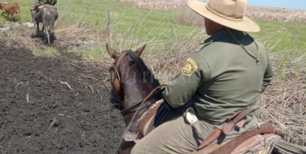 Audaz golpe de cuatreros en Colonia Iturraspe