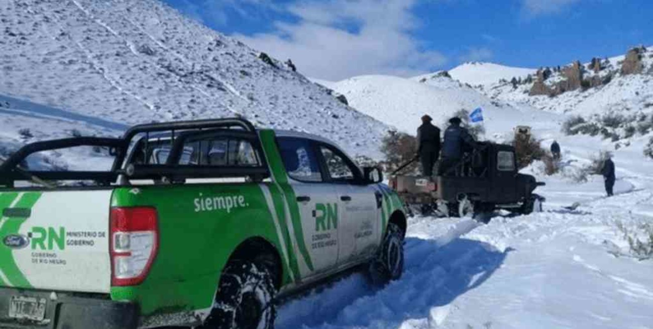 Río Negro declaró el estado de emergencia agropecuaria por las intensas nevadas 