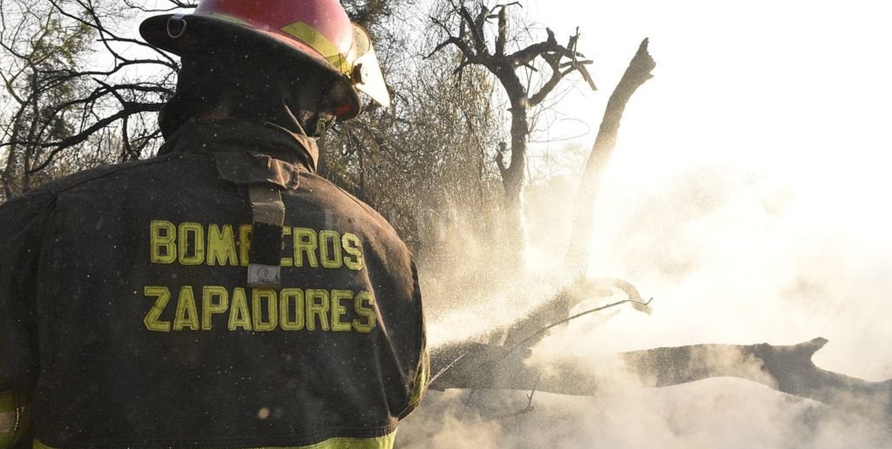 Quemas en el Delta: "Es inexplicable el nivel de irresponsabilidad" dijo la ministra Gonnet