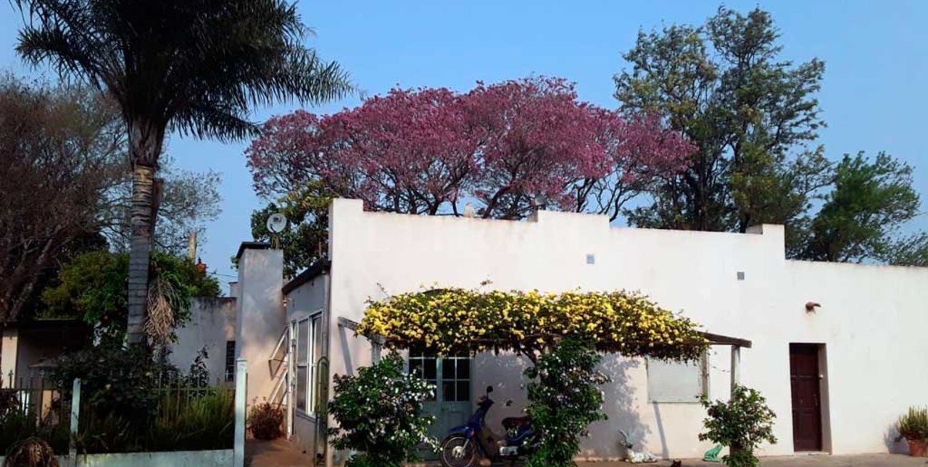 Noche de terror en el campo