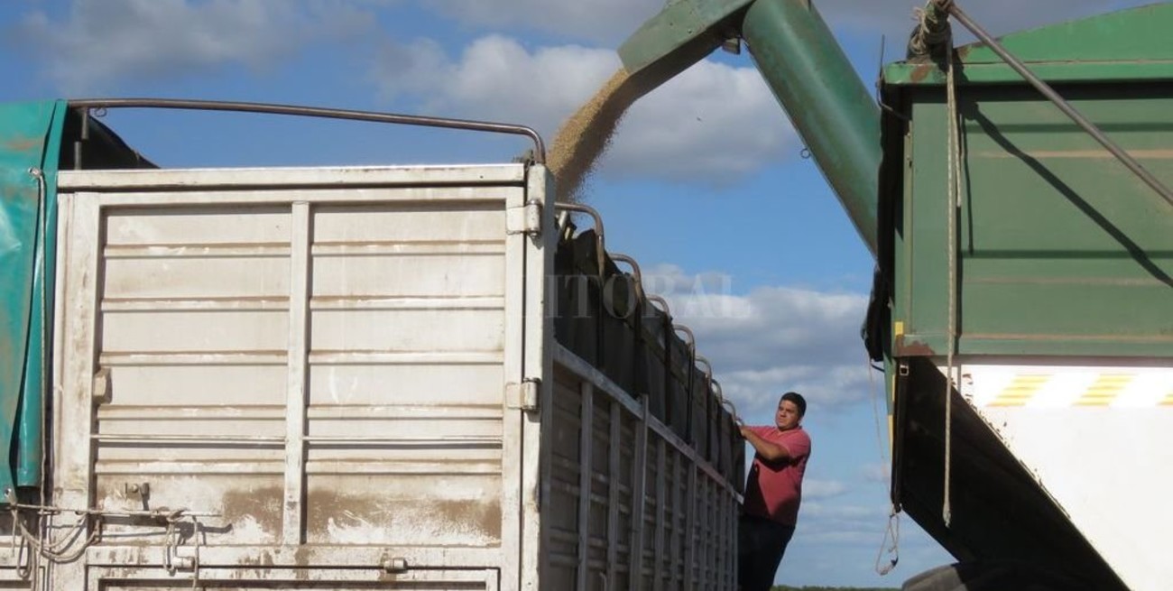 El campo en alerta por un posible 3% de aumento a las retenciones de la soja