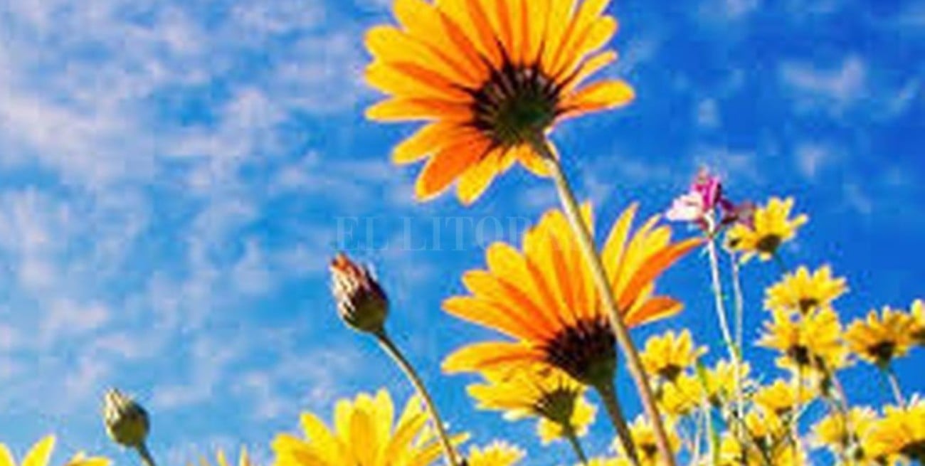 La primavera 2019 comenzará el 23 de septiembre