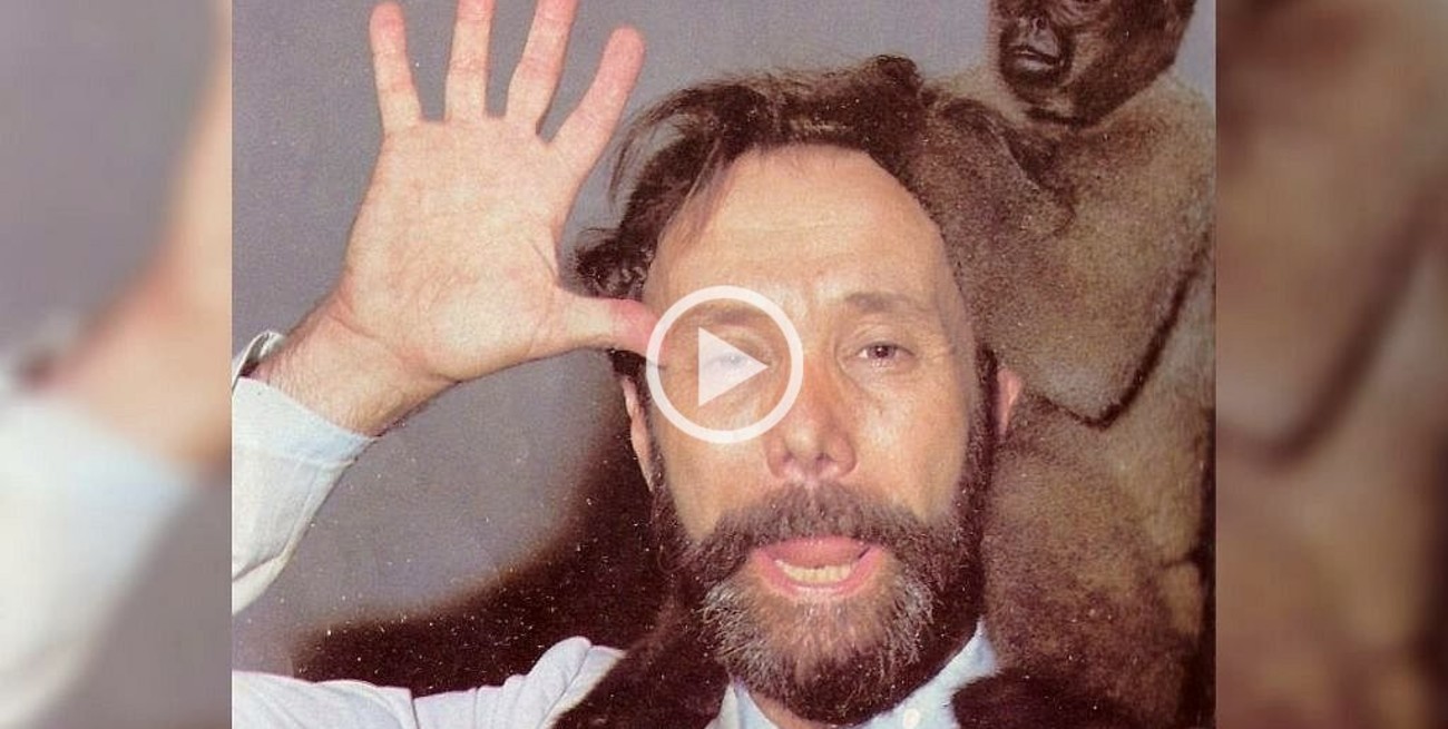 Videos: los éxitos en TV de Raúl Portal