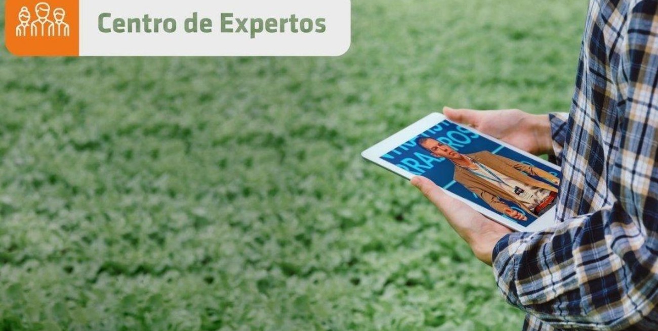 Expoagro Digital: Más de 40 técnicos atenderán consultas en el Centro de Expertos