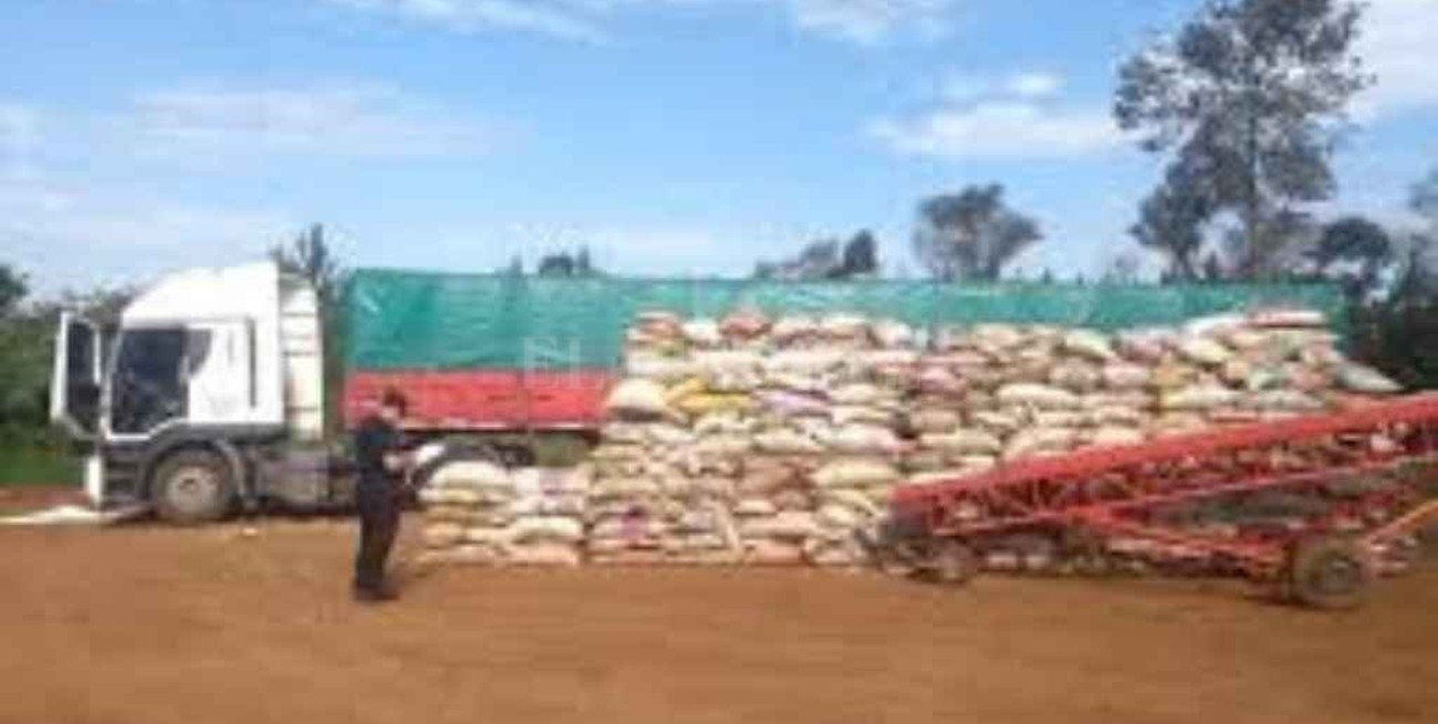 Frenaron el contrabando de más de 14 toneladas de soja en la frontera con Brasil