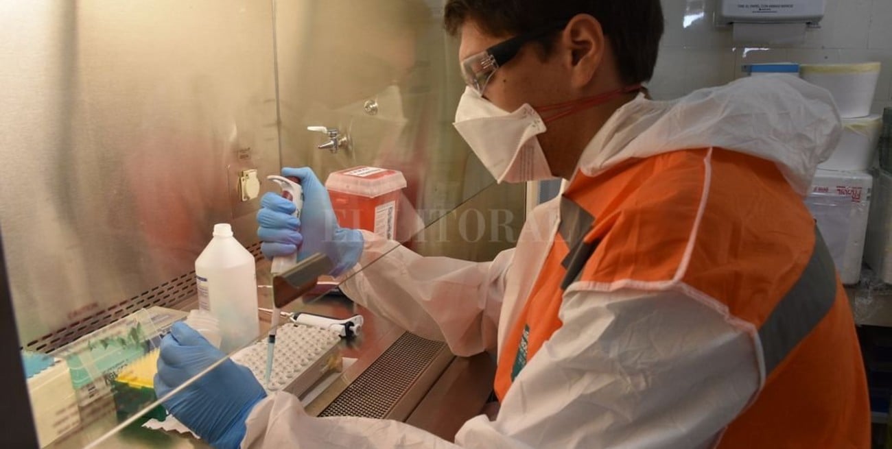 INTA Rafaela secuenciará cepas de coronavirus circulantes en Santa Fe