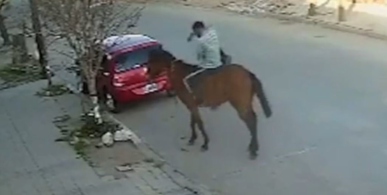 Insólito: robó, huyó montado a caballo y fue captado por las cámaras