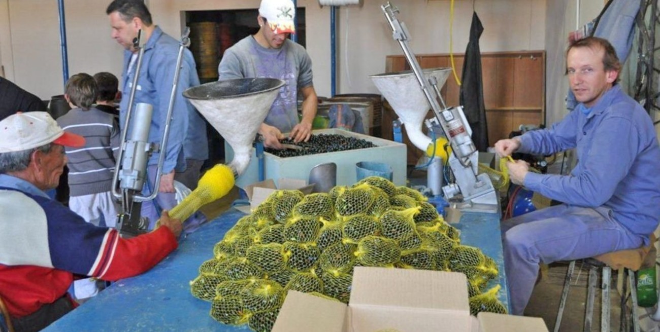 La única fábrica de bolitas de Sudamérica fue reconocida por mérito industrial
