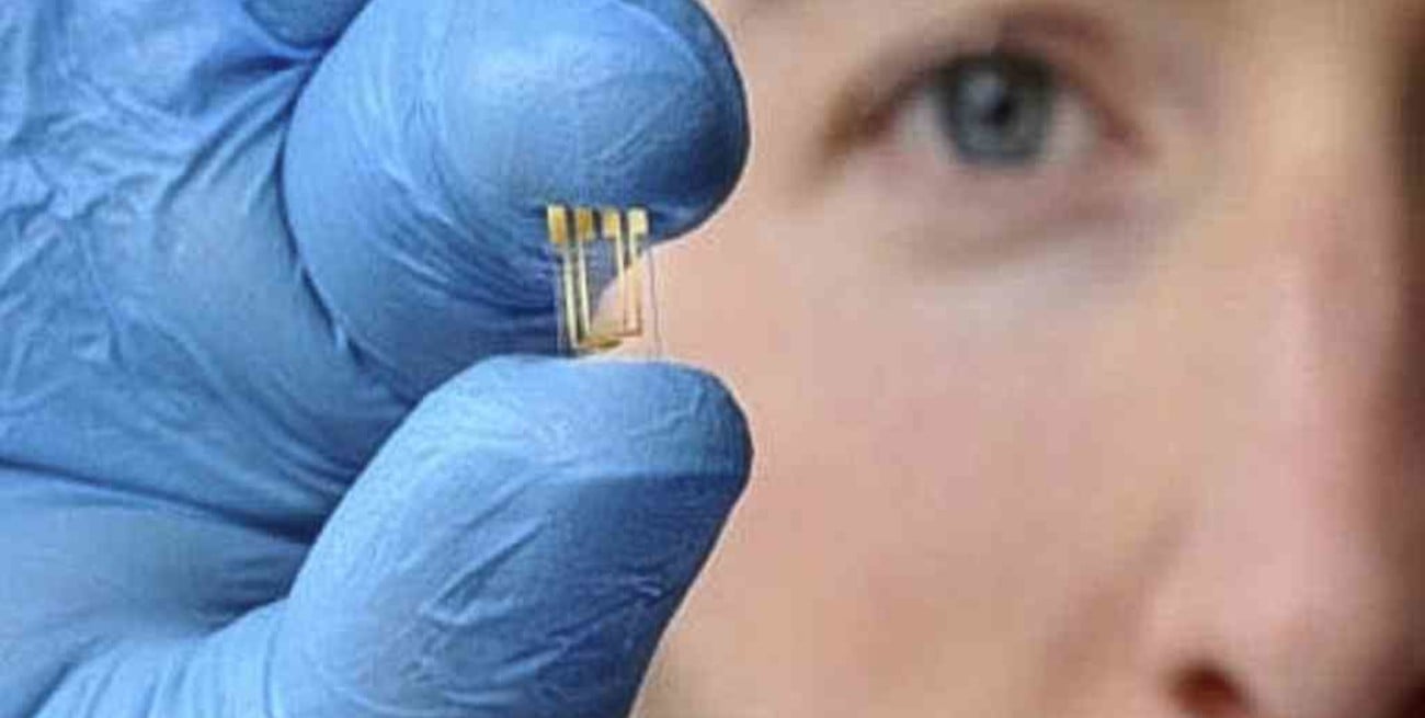 Covid-19: un test argentino detecta qué pacientes necesitarán terapia intensiva