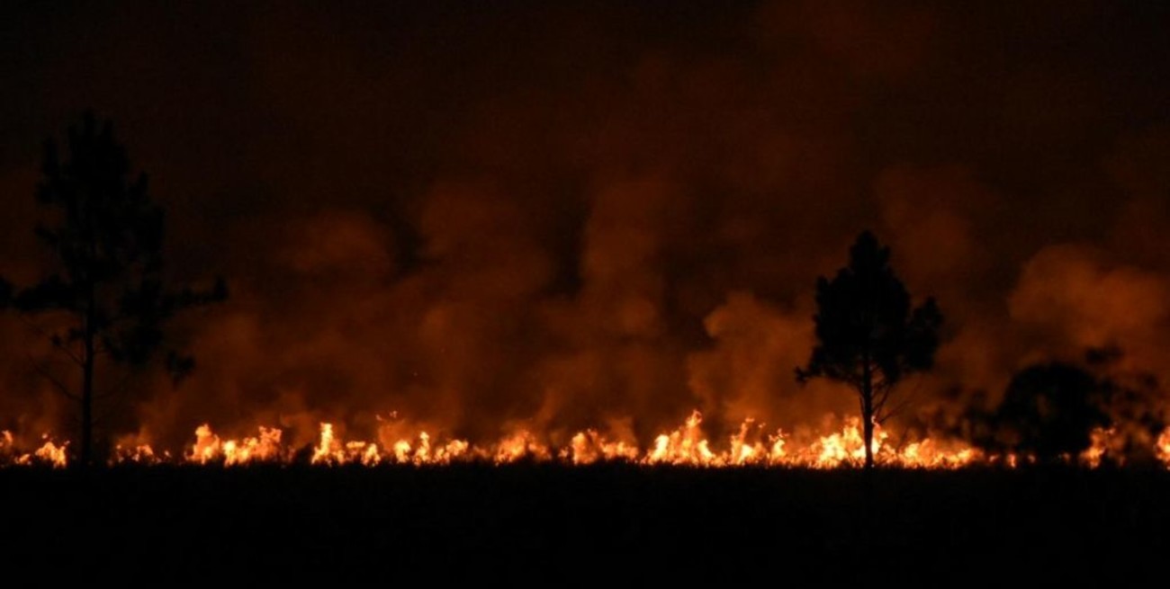 Un incendio afectó a más 60 hectáreas en Posadas y el humo cubrió a toda la ciudad
