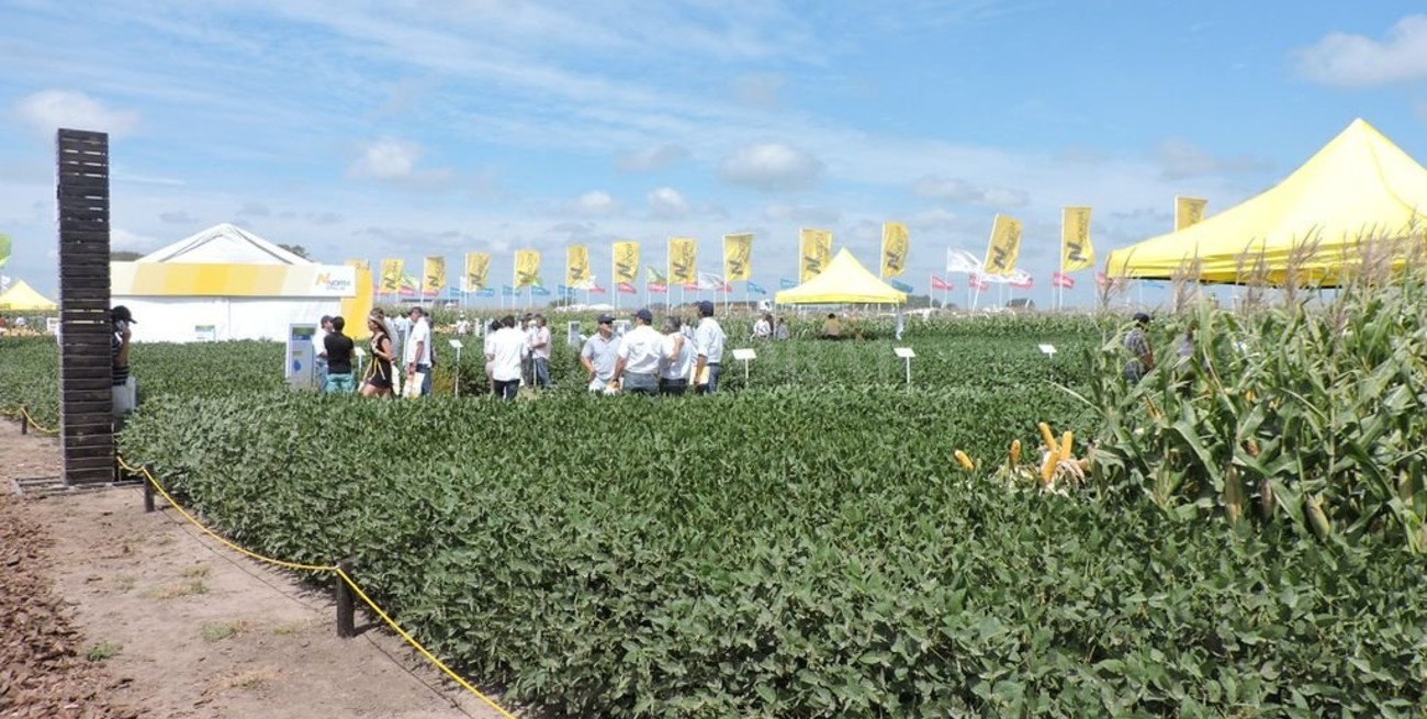 Nidera lanzó su campaña de soja 2020