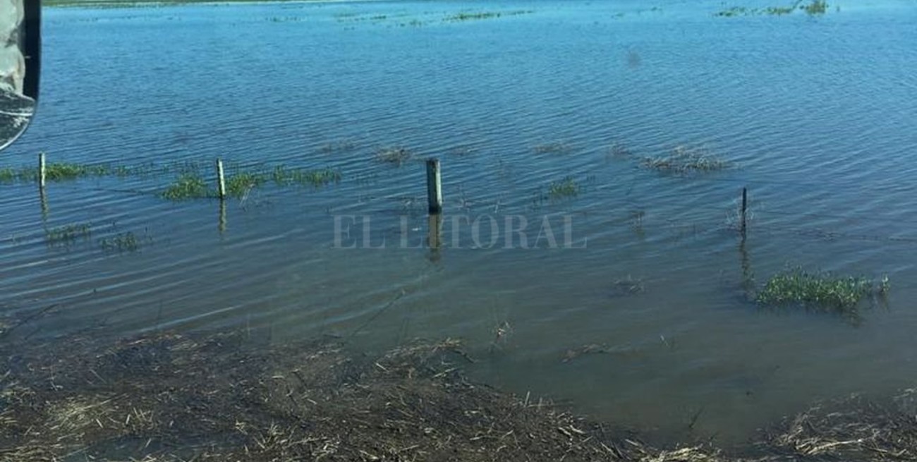 Desesperado pedido de ayuda de un productor de San Justo