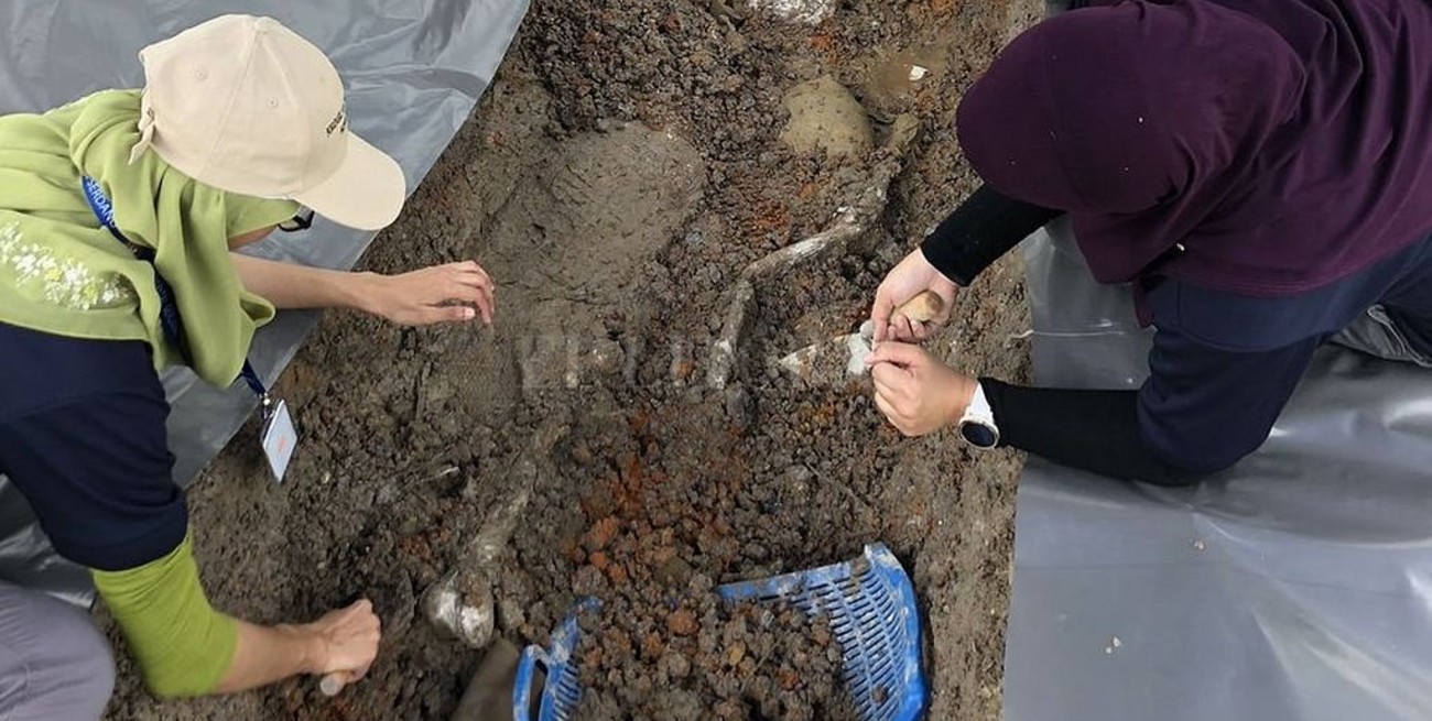 El equipo de antropólogos forenses reanudará sus actividades en el país