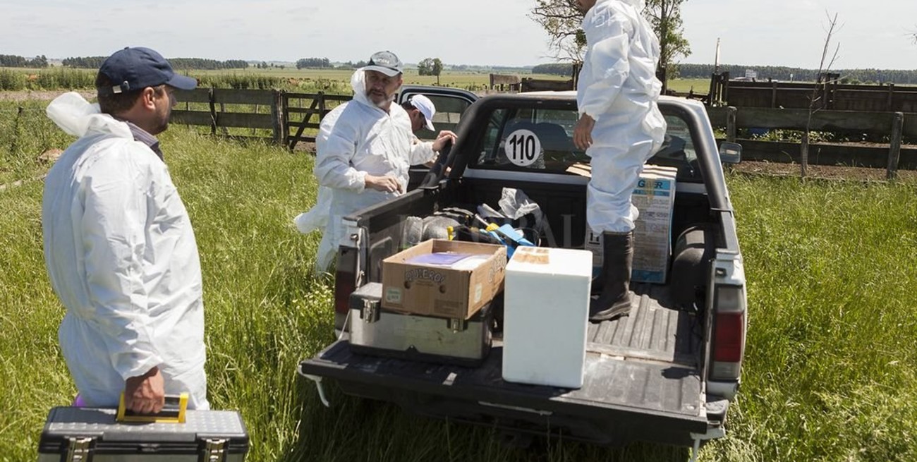 Concluyó el simulacro de fiebre aftosa en Entre Ríos