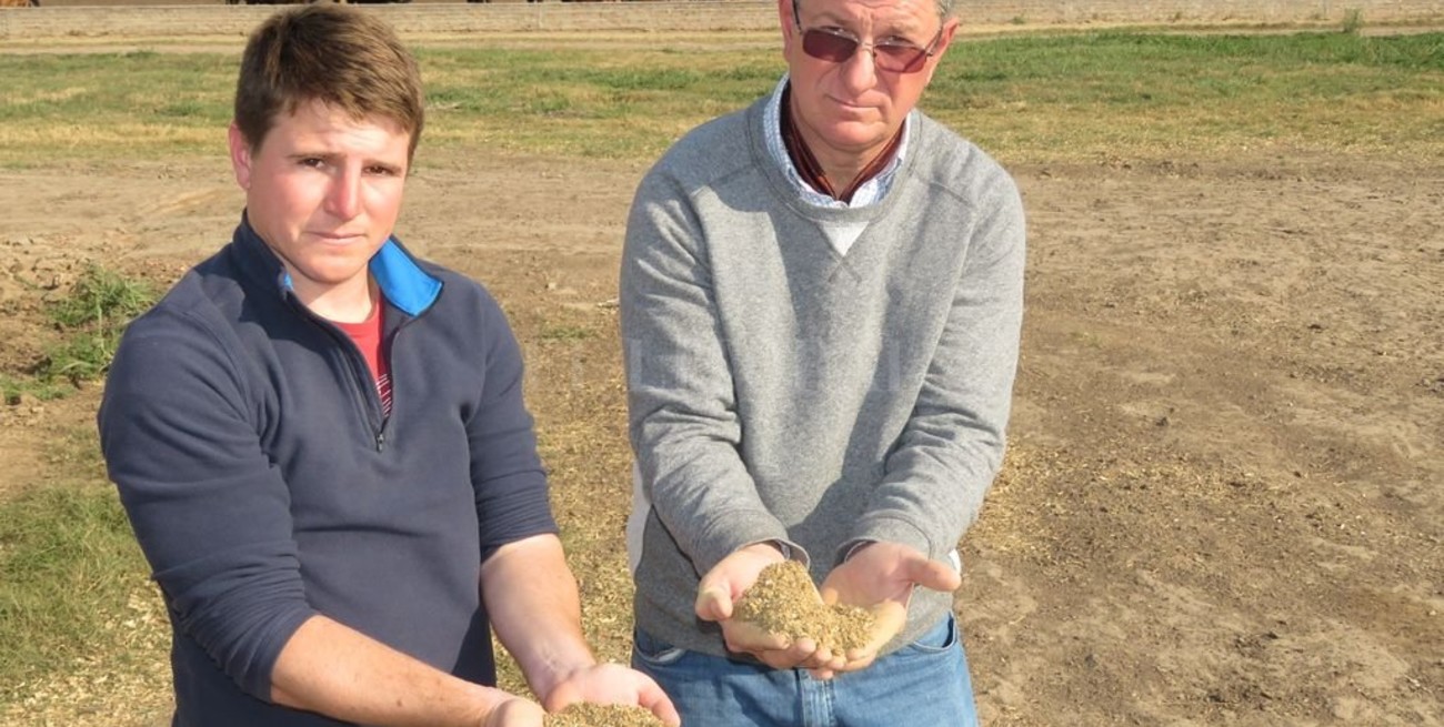 El algodón y un subproducto que cotiza