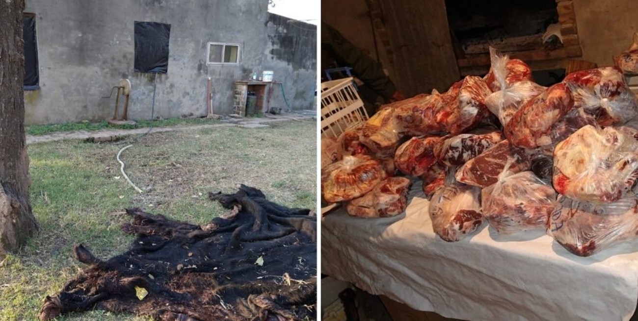 Ceres: Detenidos por robar y faenar una vaca