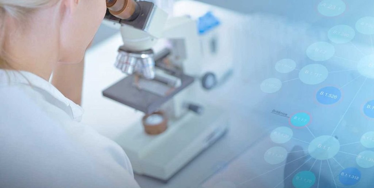 Viaje al corazón del virus: cuáles son sus variantes y por qué encenderían 4 alertas