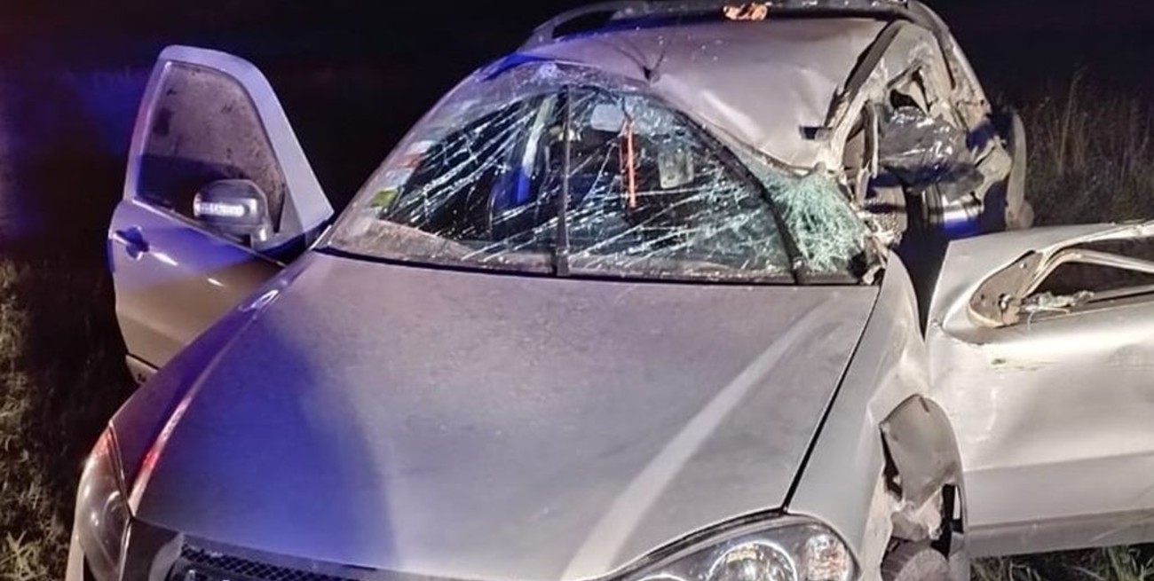 Una mujer muere al ser chocada por un camión de Correo Argentino: el conductor estaba alcoholizado