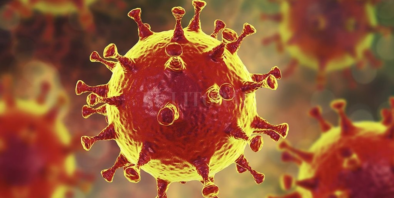 Israel anunció el hallazgo de un anticuerpo que neutraliza el coronavirus