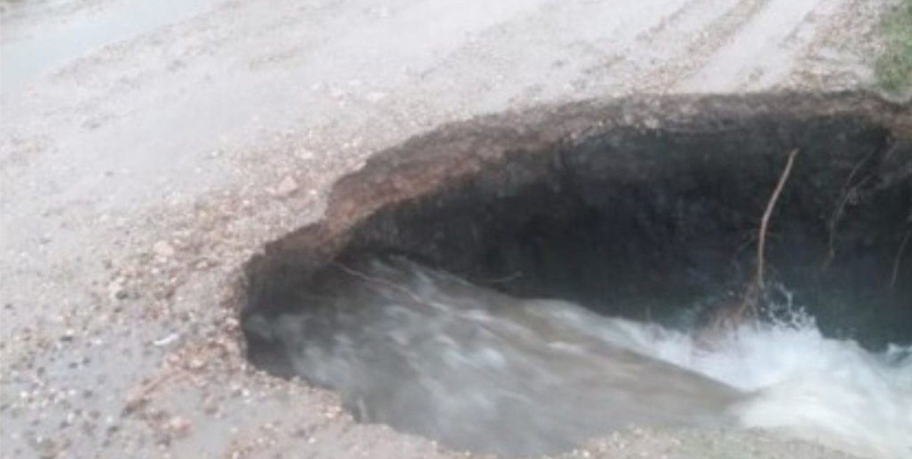 La Bolsa de Cereales de Entre Ríos solicitó que se reparen rutas y caminos