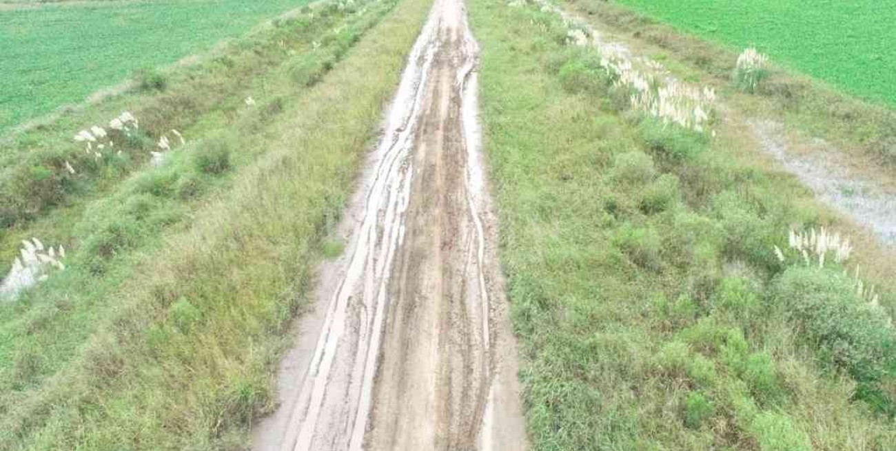 Michlig solicitó obras viales en rutas y caminos deteriorados por el temporal