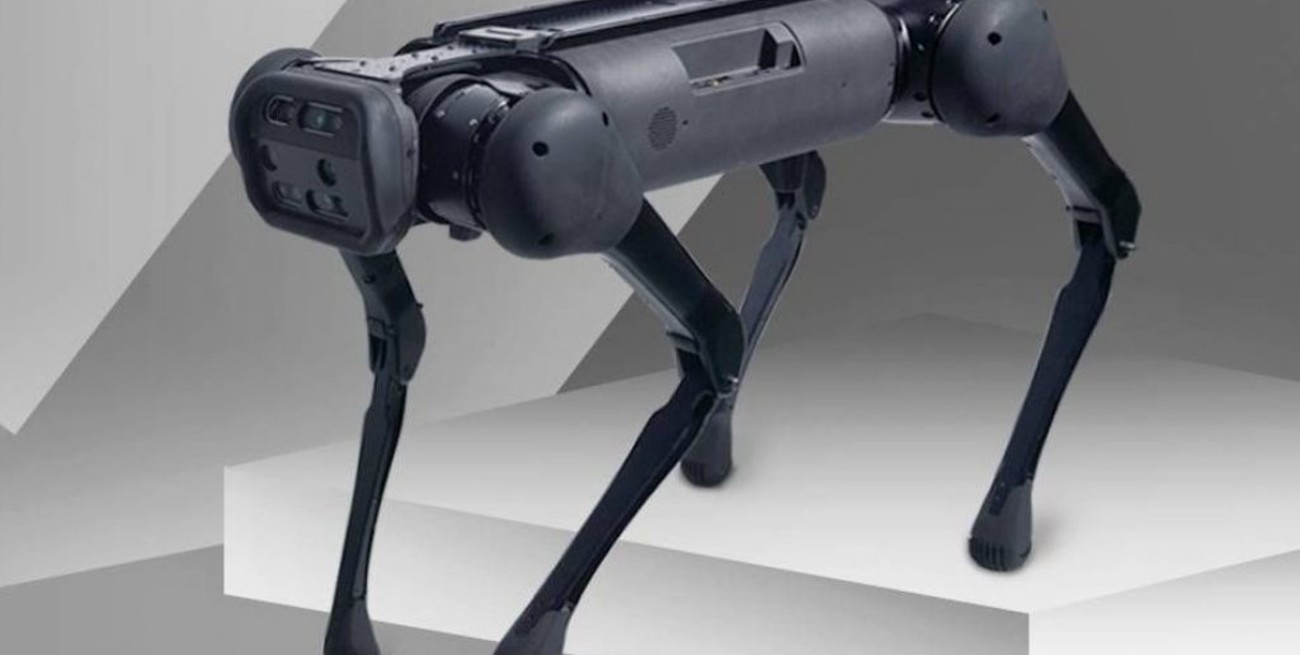 'Ejército' de perros robot chinos con inteligencia artificial