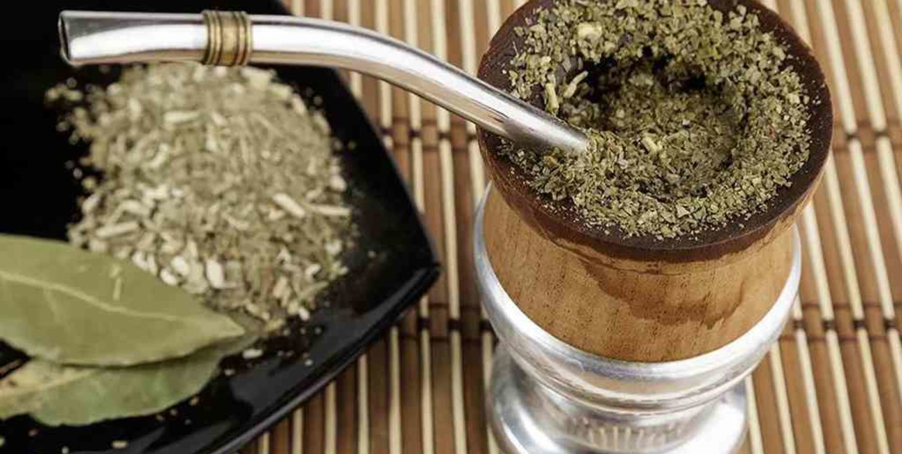 En enero, se registró una fuerte baja de las exportaciones de yerba mate