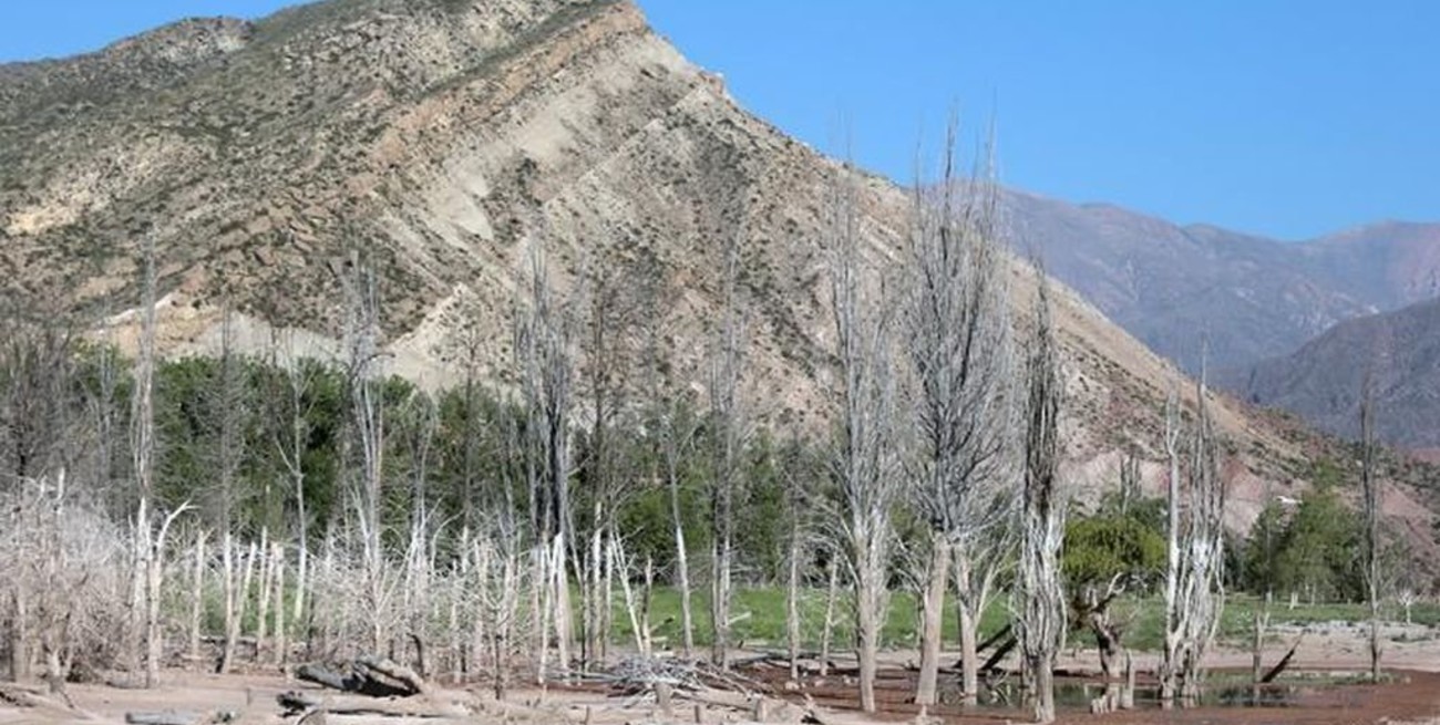 Mendoza vive la peor sequía de su historia