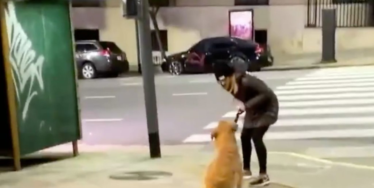 La mujer denunciada por pegarle a su perro dijo que no cometió "actos de maltrato"