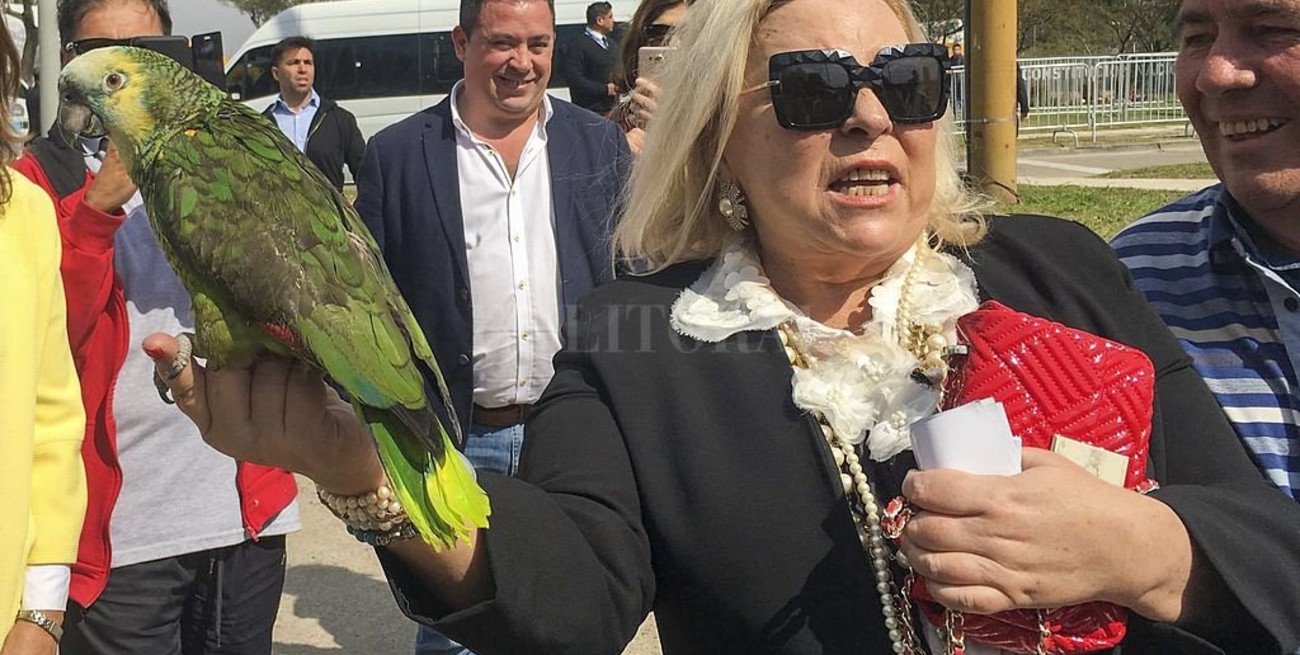 Según Carrió, el oficialismo está "contando los días para ganar la elección"