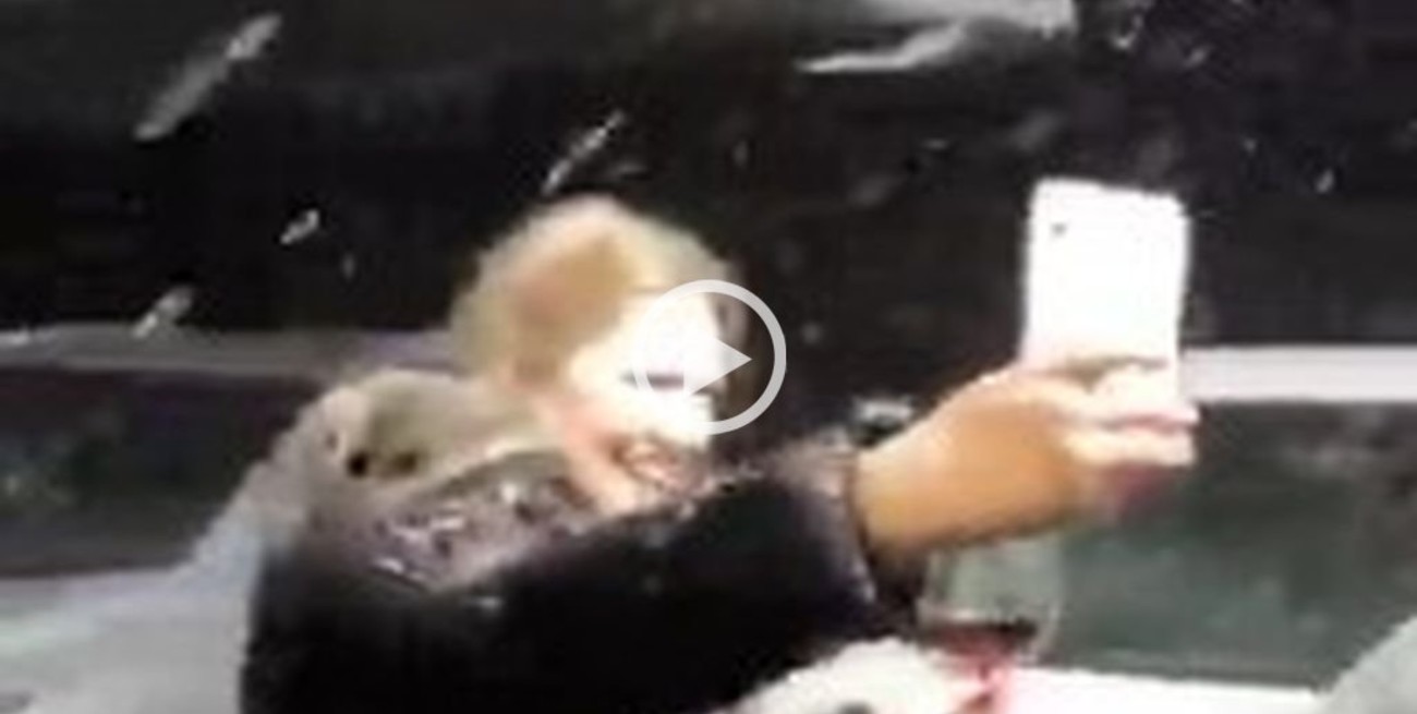 La masa de aire polar provoca nevadas en algunas ciudades de Brasil