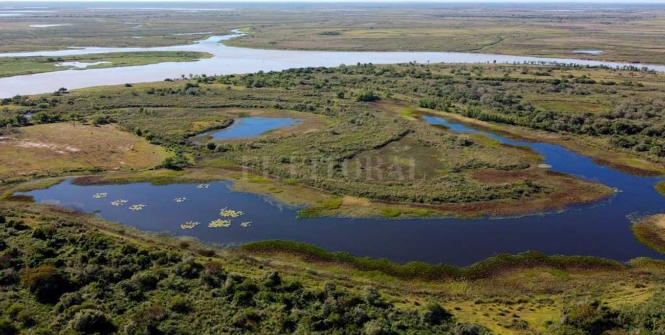 La restauración de ecosistemas, clave   para ambientes saludables y funcionales