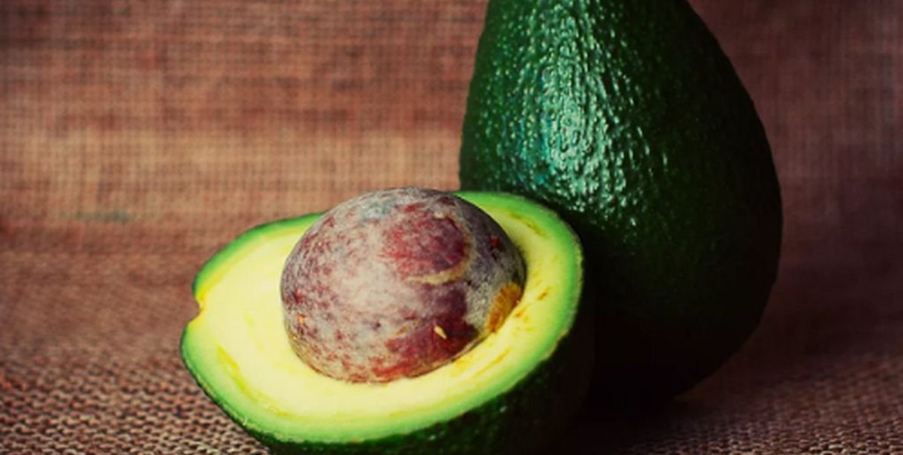 Los beneficios del carozo de palta