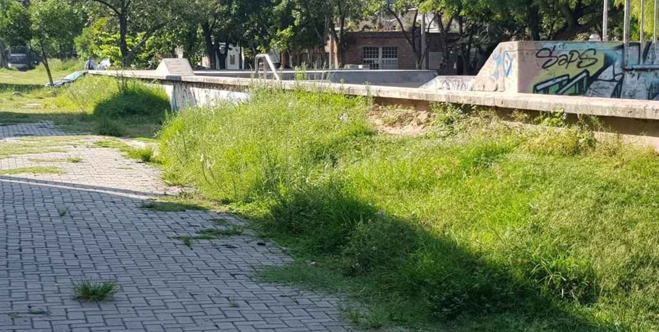 "Deportes aventura" en el Skate Park de barrio Candioti