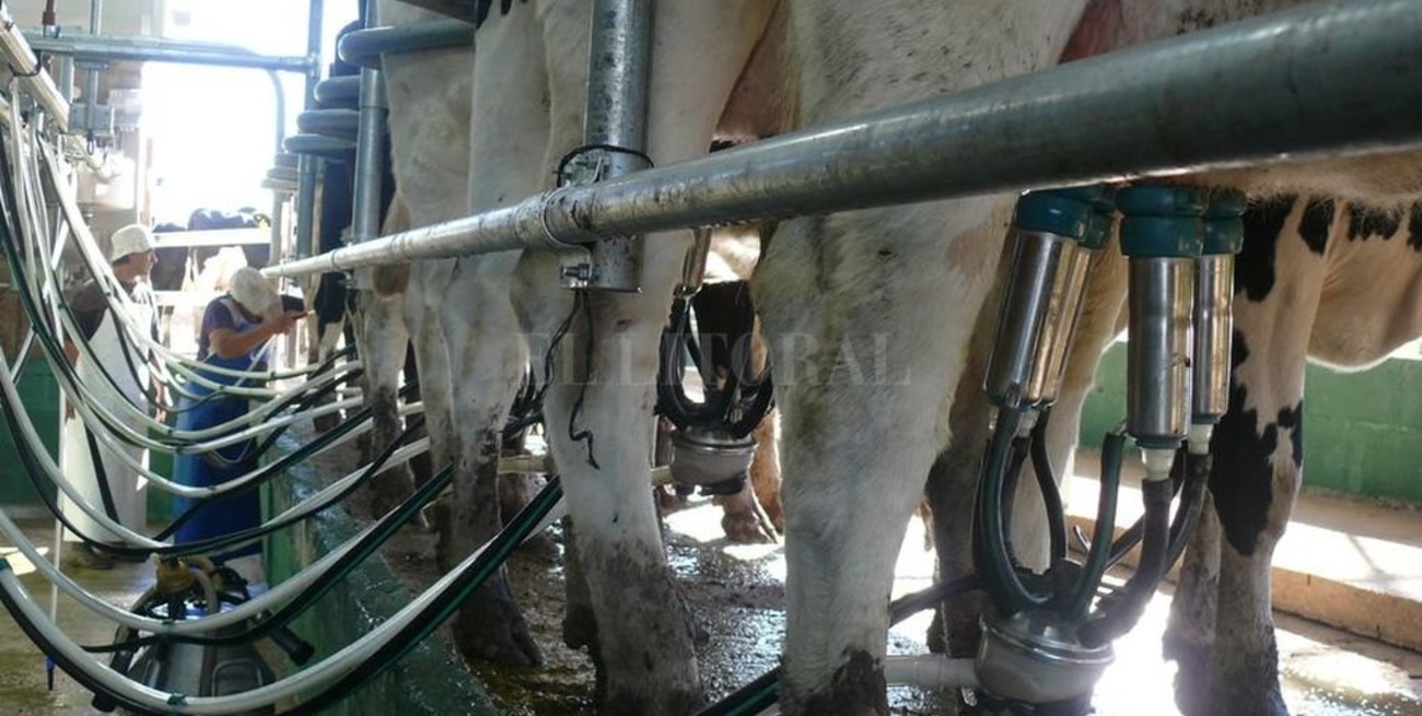 "Crecer para permanecer", la clave para los tamberos argentinos